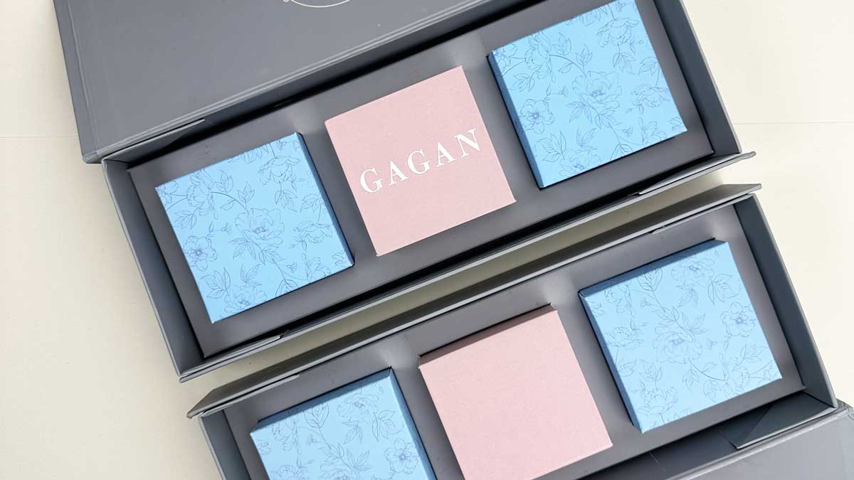 The Raksha Box 2023 image 7