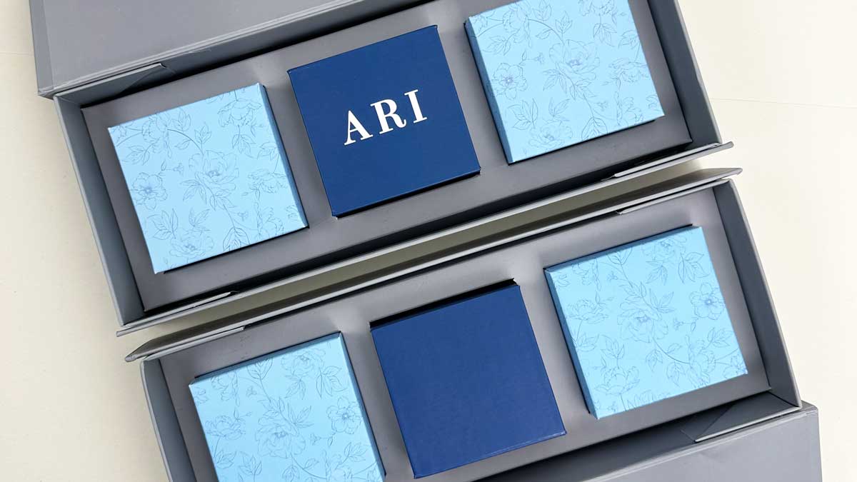 The Raksha Box 2023 image 2