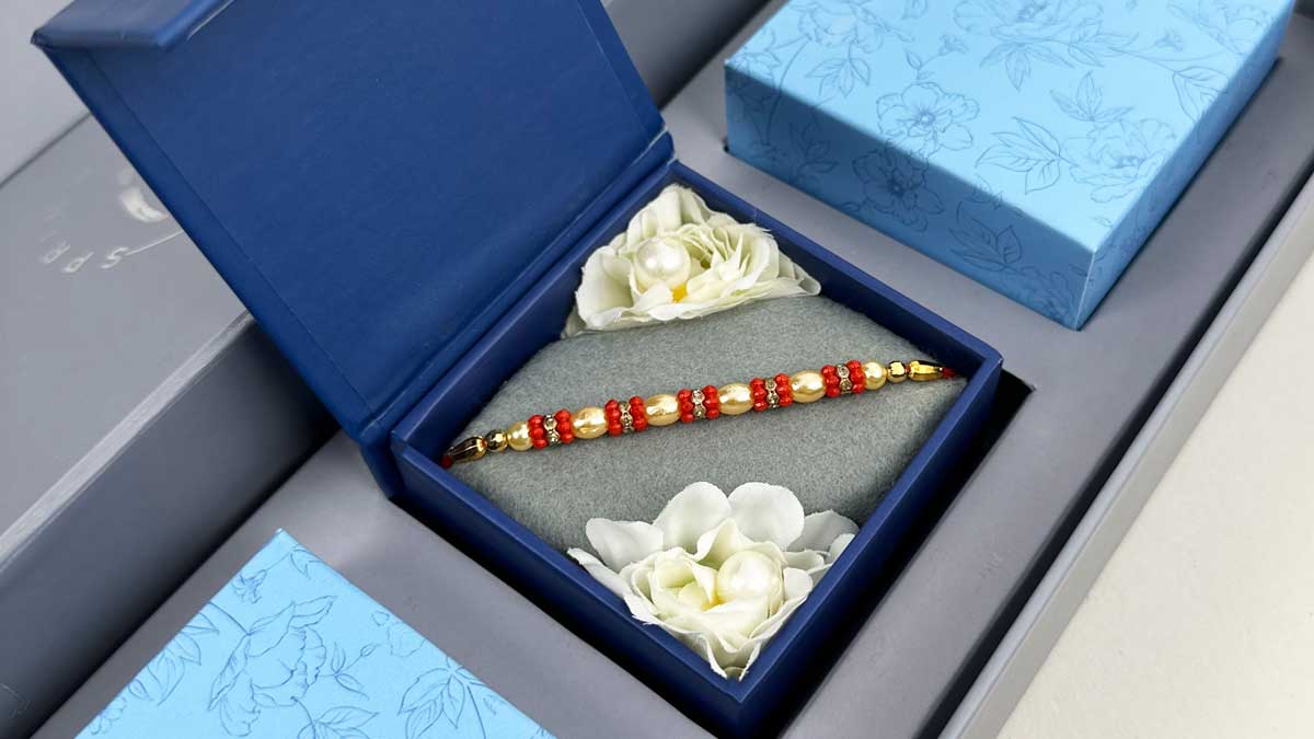 The Raksha Box 2023 image 3