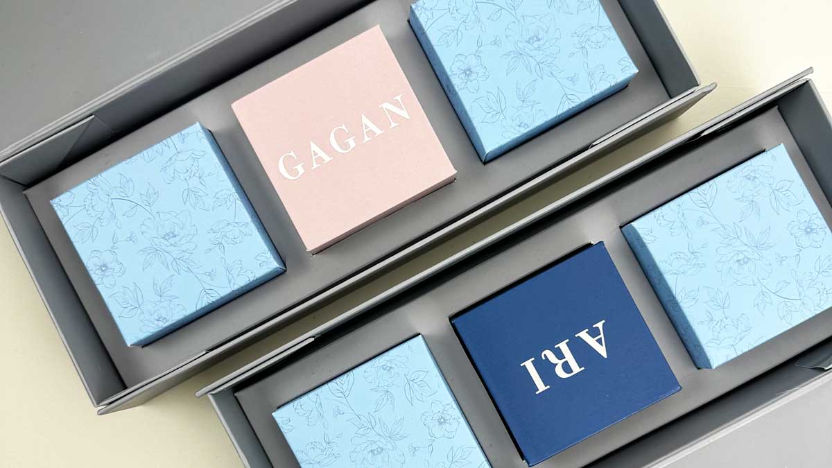 The Raksha Box 2023 image 5