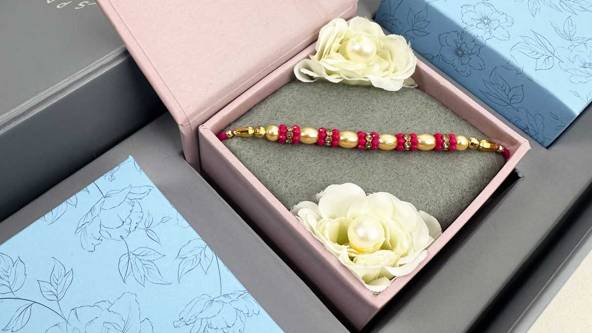 The Raksha Box 2023 image 4
